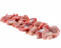 G09oMKSSqfE-no-bg-preview (carve.photos)