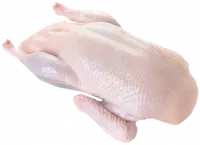 57ced412ae080a7003bae7e7b9bd448a-no-bg-preview (carve.photos)