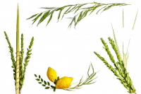 360_F_523069009_rahPksqv9egMIJyPxr74nARtHvPSJqrT-n-no-bg-preview (carve.photos)