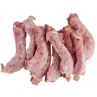 3389831_1H-no-bg-preview (carve.photos)