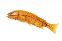 Forel-YAntarnaya-s.g.-potr.g.k