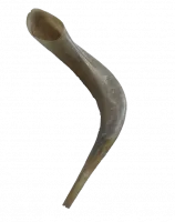 шофар-no-bg-preview (carve.photos)