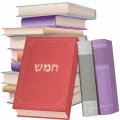 Jewish library