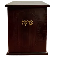 WhatsApp Image 2025-02-12 at 13_28_19 (1)-no-bg-preview (carve.photos)