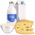Dairy