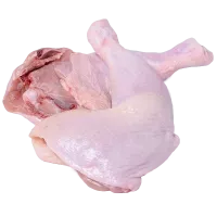 b9120de945d093fc04f99e6010f1bdb1-no-bg-preview (carve.photos)