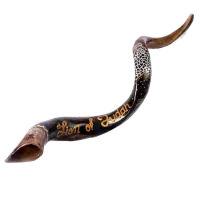 1dfa7c8d-03a6-441b-b7b1-980b92375a90-no-bg-preview (carve.photos)