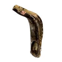 шофар 25 см