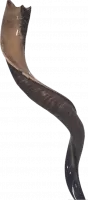 Kudu shofar with crown-shaped finish_1