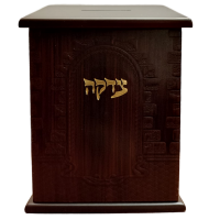 WhatsApp Image 2025-02-12 at 13_28_19 (1)-no-bg-preview (carve.photos)