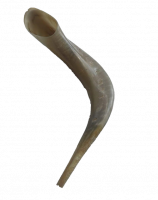 шофар-no-bg-preview (carve.photos)