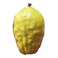 0c20a953-be70-4eb5-bc09-ffc2294d8eff-no-bg-preview (carve.photos)