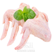 RQ96nO0kbjA (1)-no-bg-preview (carve.photos)